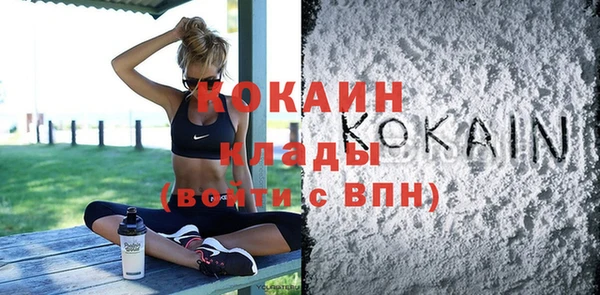ешки Новодвинск