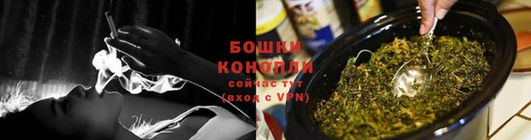 индика Новокубанск