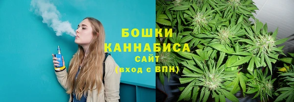 индика Новокубанск
