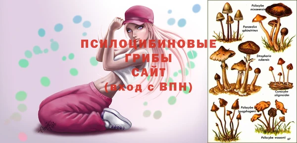 2c-b Нефтегорск